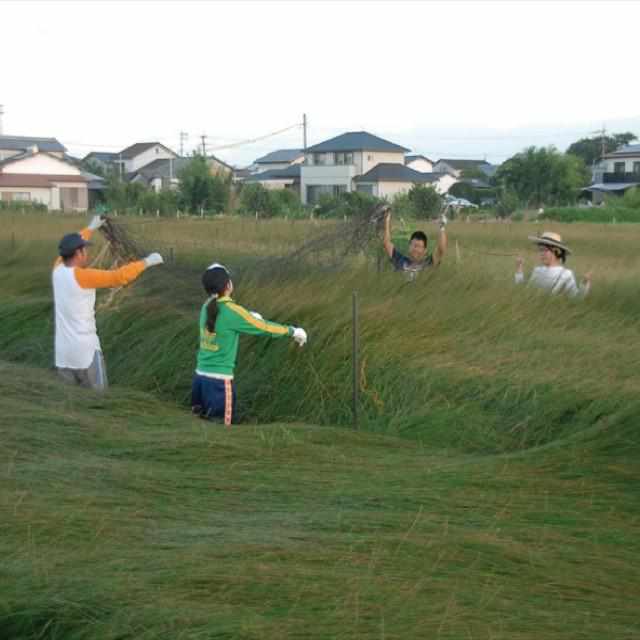 【い草-畳】イケヒコ い草ヨガマット アース 緑 (60×180cm) - Image 6