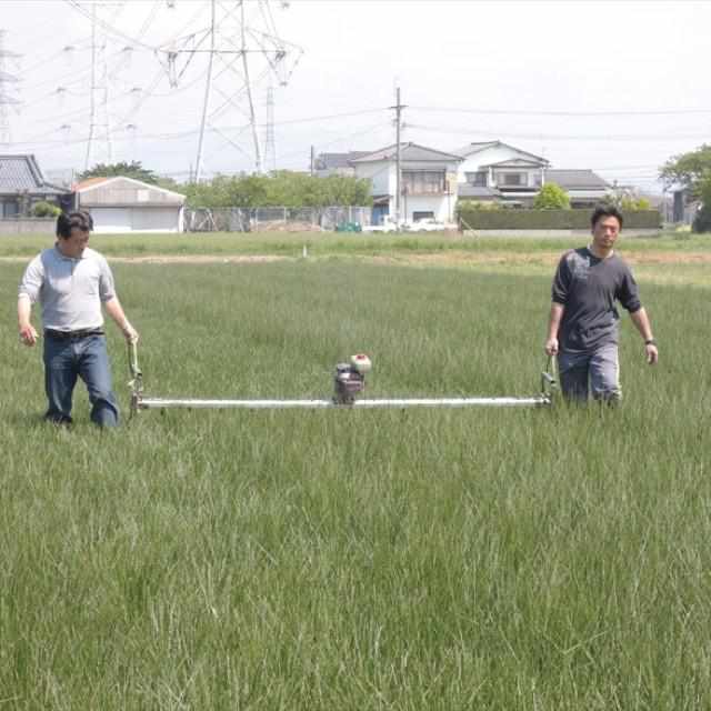【い草-畳】イケヒコ い草ヨガマット ジョイ 緑 (60×180cm) - Image 5