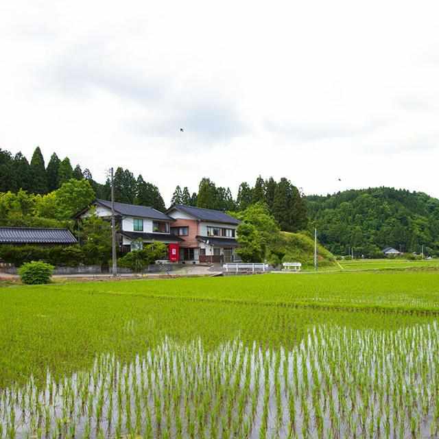 【輪島塗】楽 NERIKANSHITSU 漆スクリーン すだれ - Image 5