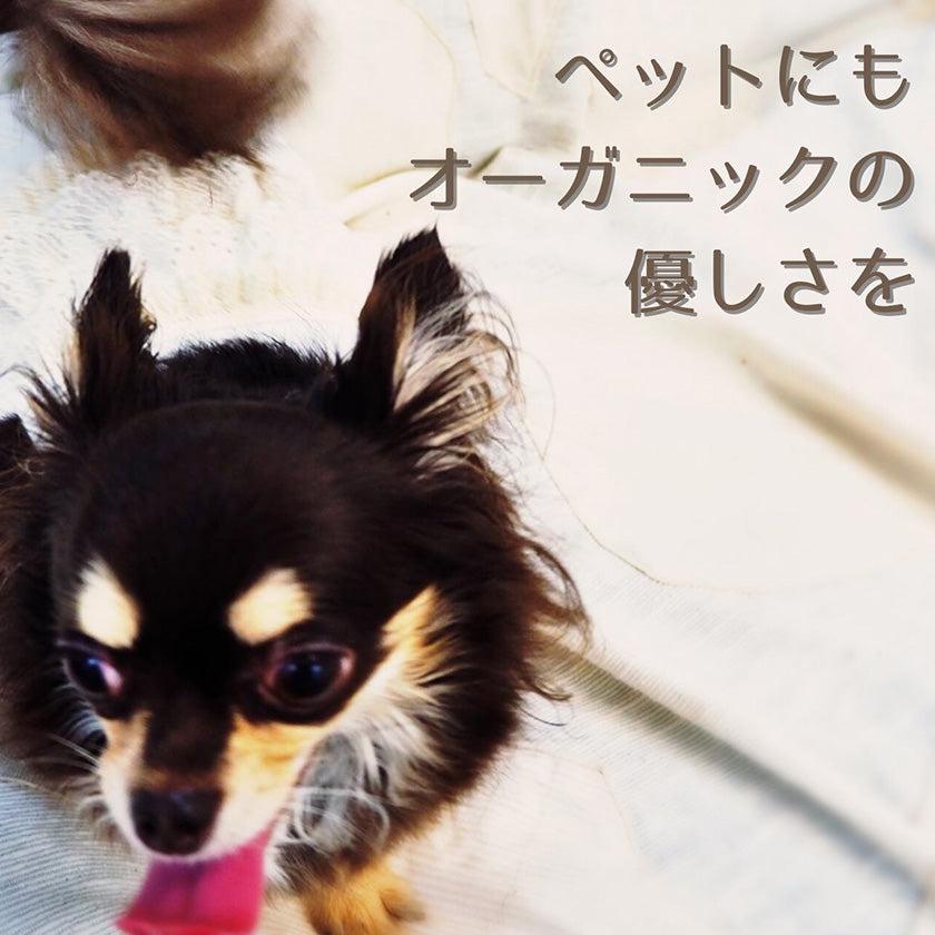 【ペット用ラウンジベッド】大切なペットのためのラウンジベッド 小型犬用 レギュラーサイズ | オーガニック製品 | AVVERA - Image 8